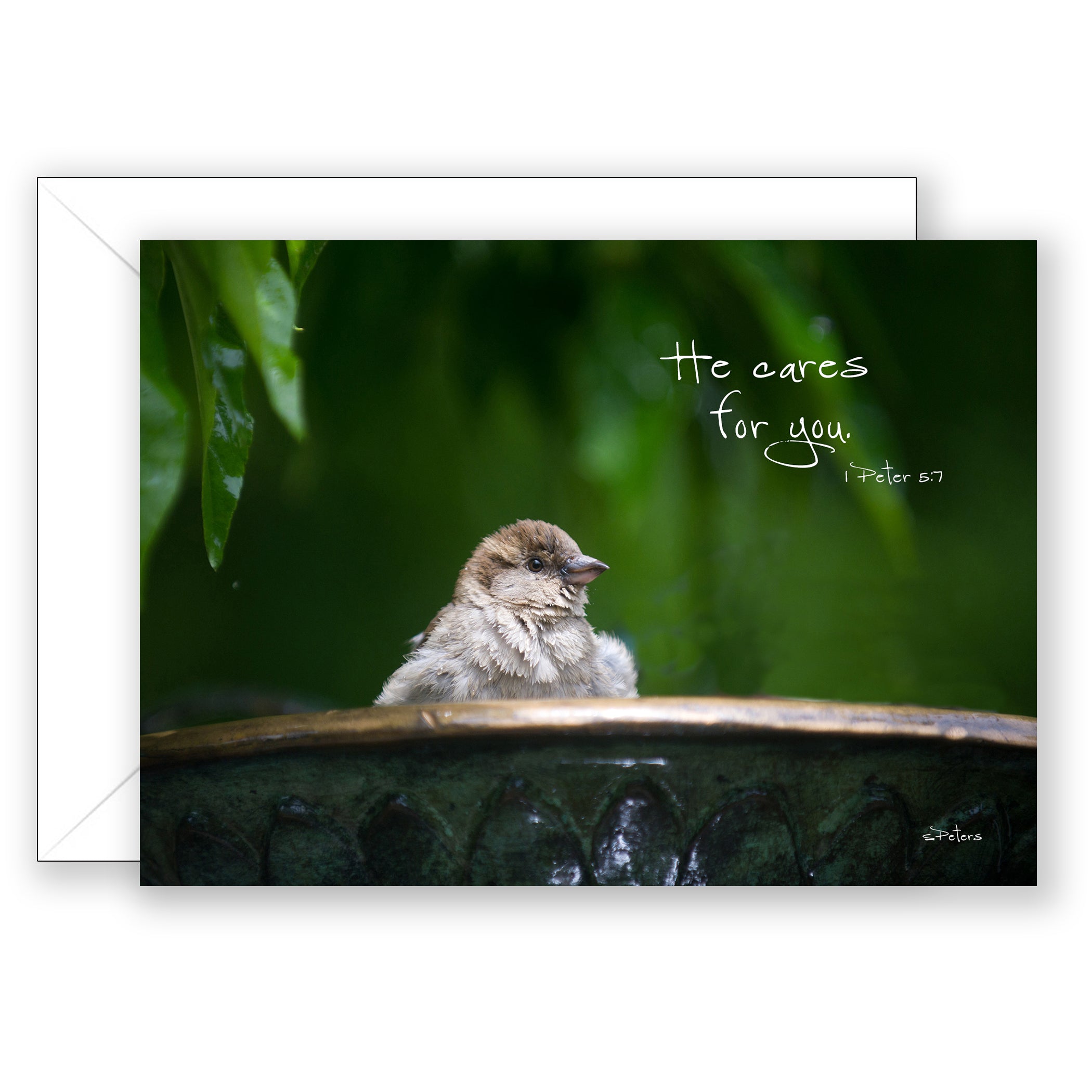 Song Sparrow (I Peter 5:7) - Sympathy Card