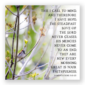 Spring Prayer (Lamentations 3:21-23) - Mini Print