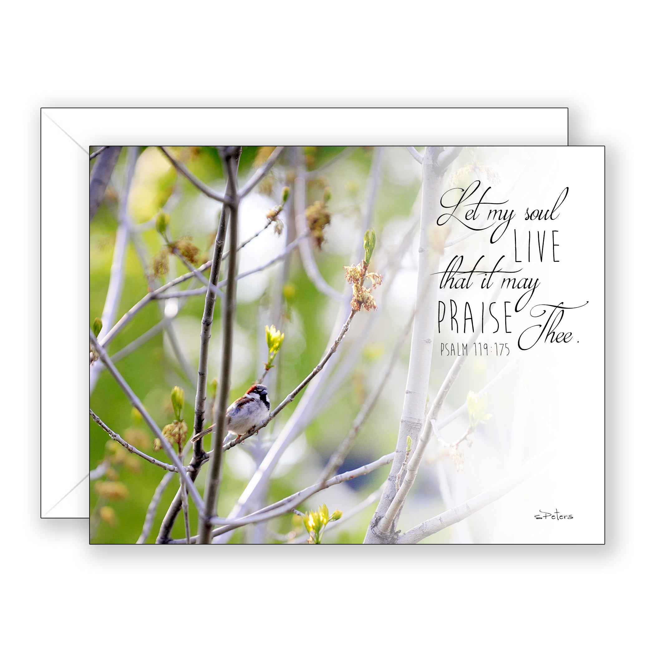 Spring Prayer (Psalm 119:175) - Encouragement Card (Blank)