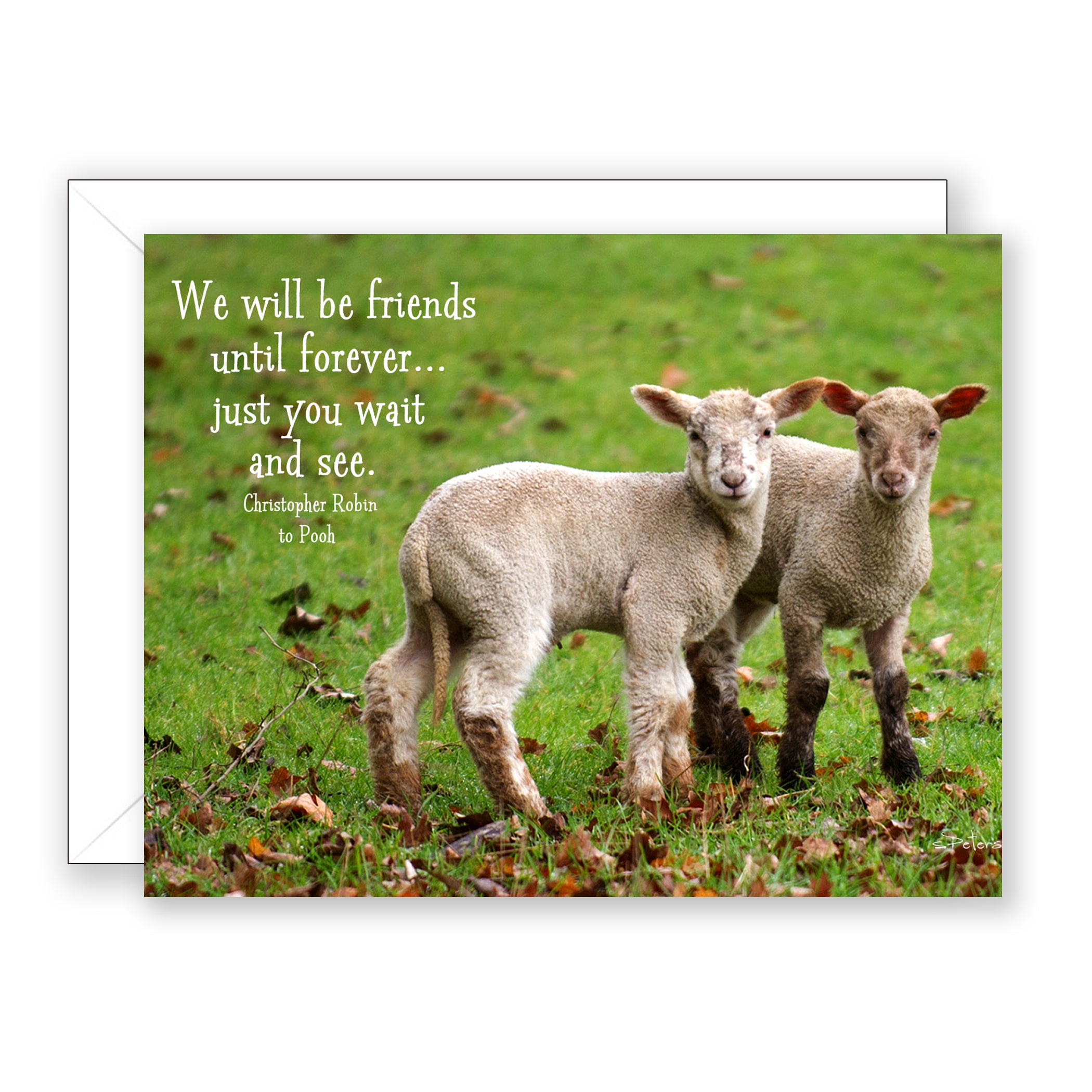 Spring Sisters - Friendship Card