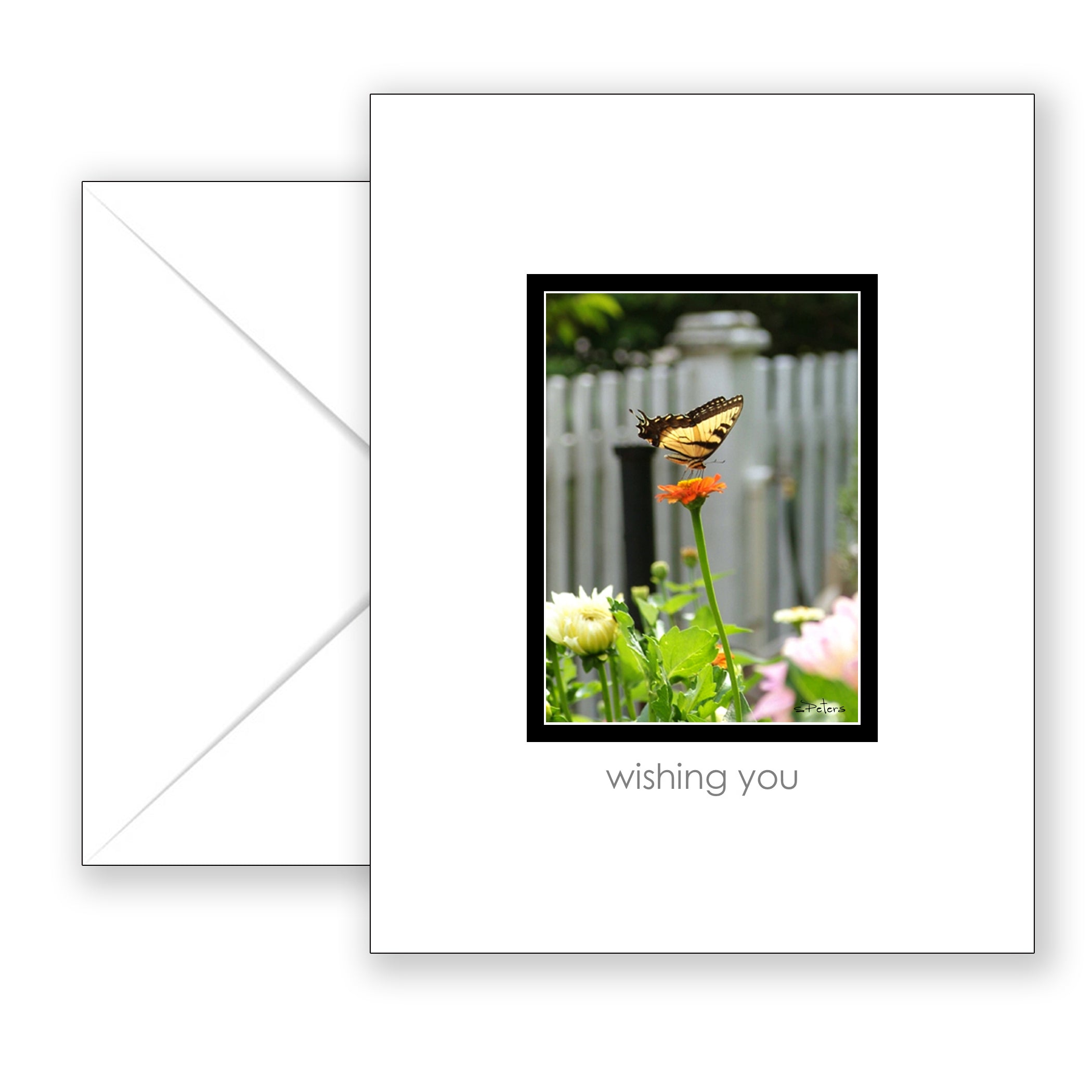 Summer Butterfly - Birthday Card