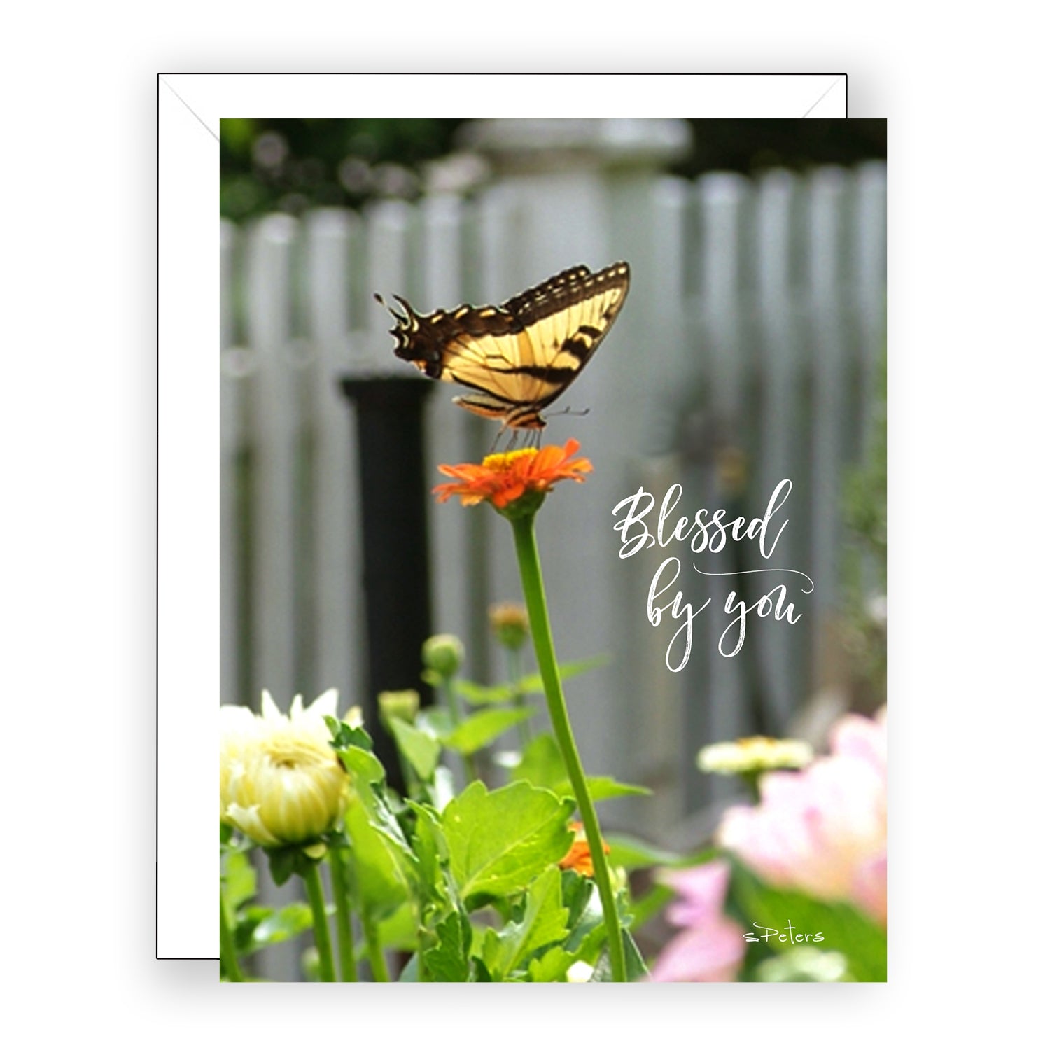 Summer Butterfly (James 1:17) - Appreciation Card