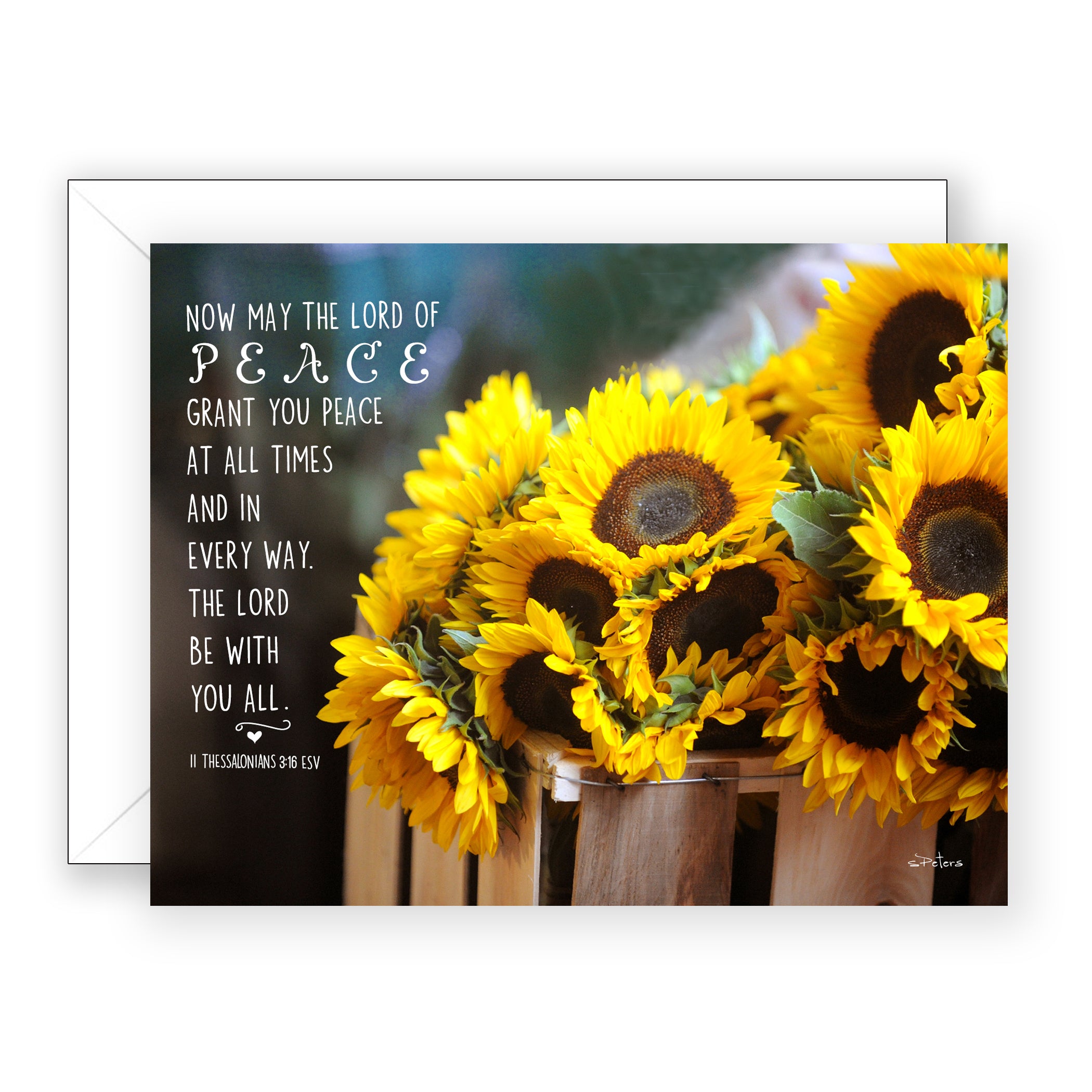 Sunflower Summer (II Thessalonians 3:16) - Encouragement Card (Blank)
