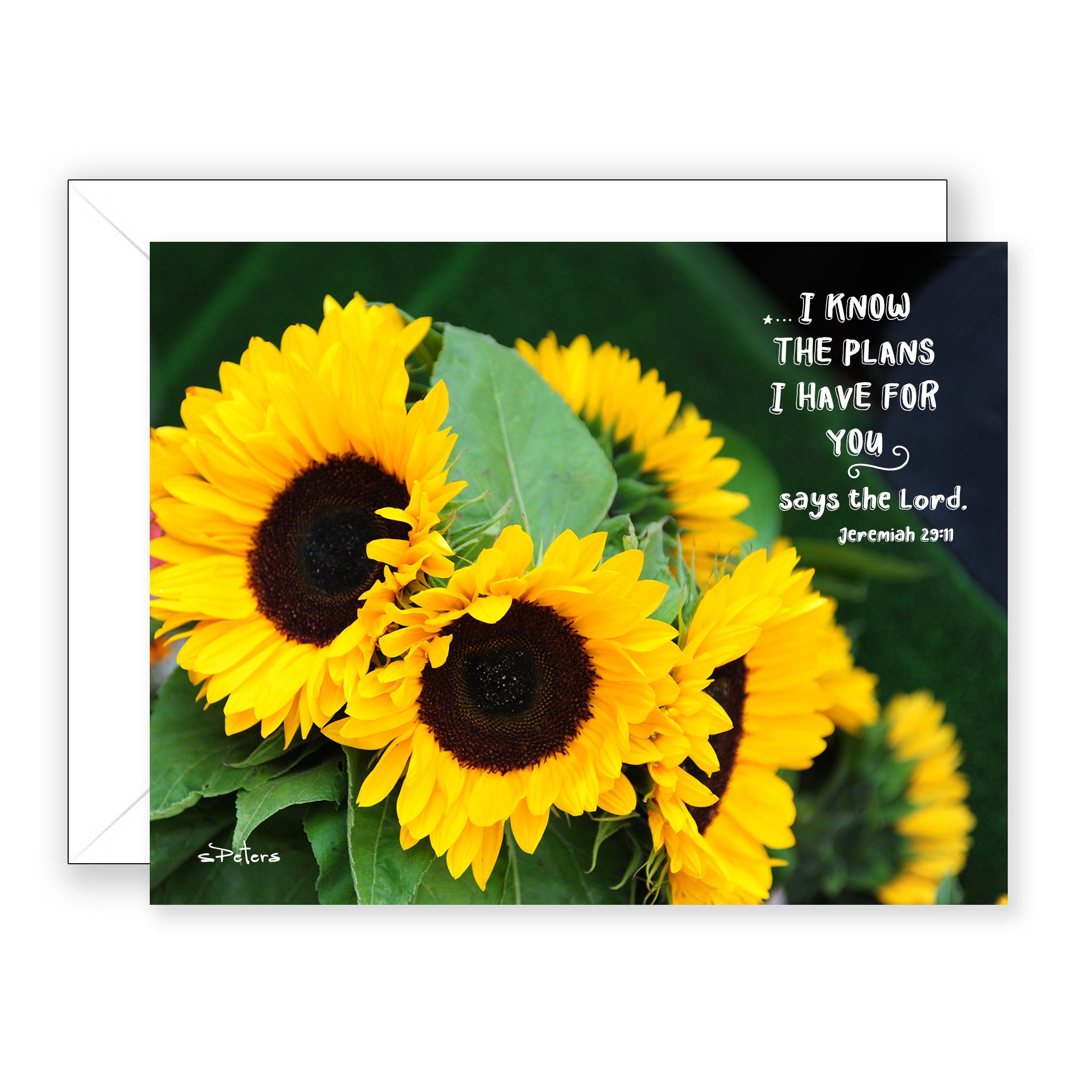 Sunshine Blooms (Jeremiah 29:11) - Encouragement Card (Blank)