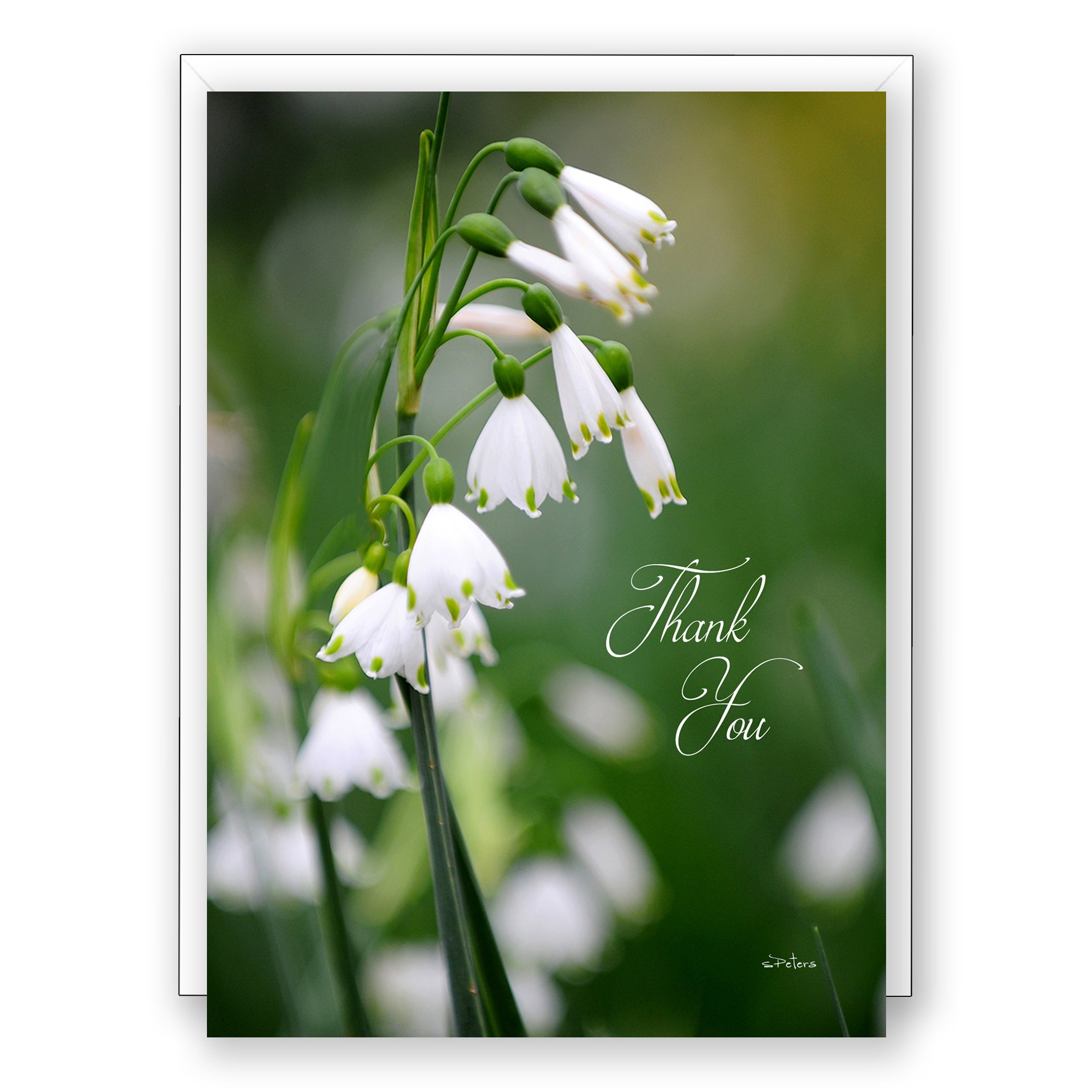 Sweet Spring - Thank You Card – Bradbury Lane