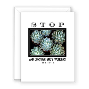 Sweet Succulents - Encouragement Card (Blank)