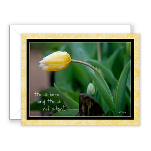Tears in Spring - Thinking of You Card