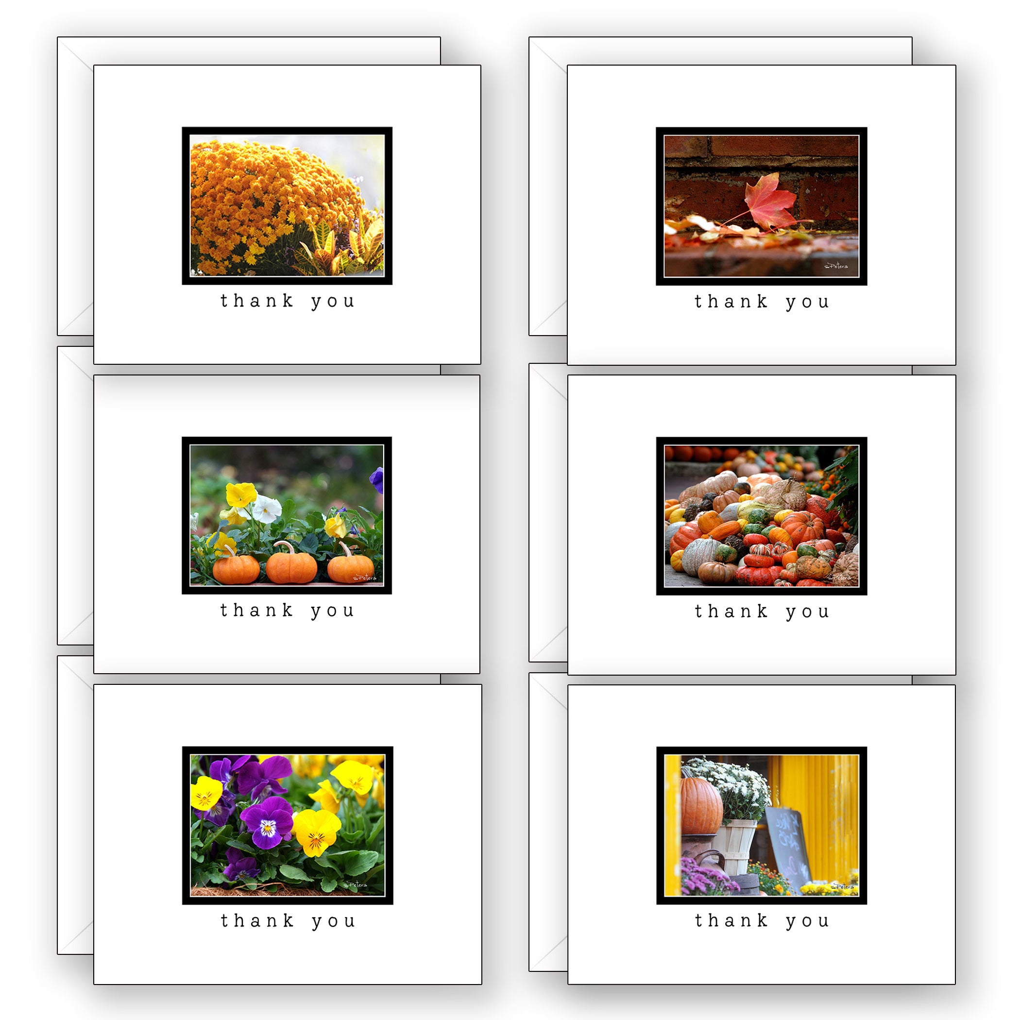 Thankfully Yours for Fall - Boxed Notecard Collection