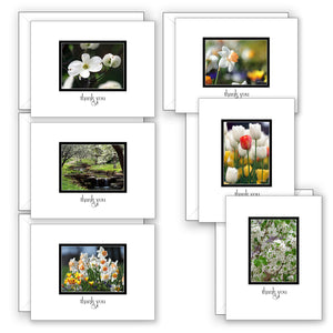 Thankfully Yours for Spring - Boxed Notecard Collection