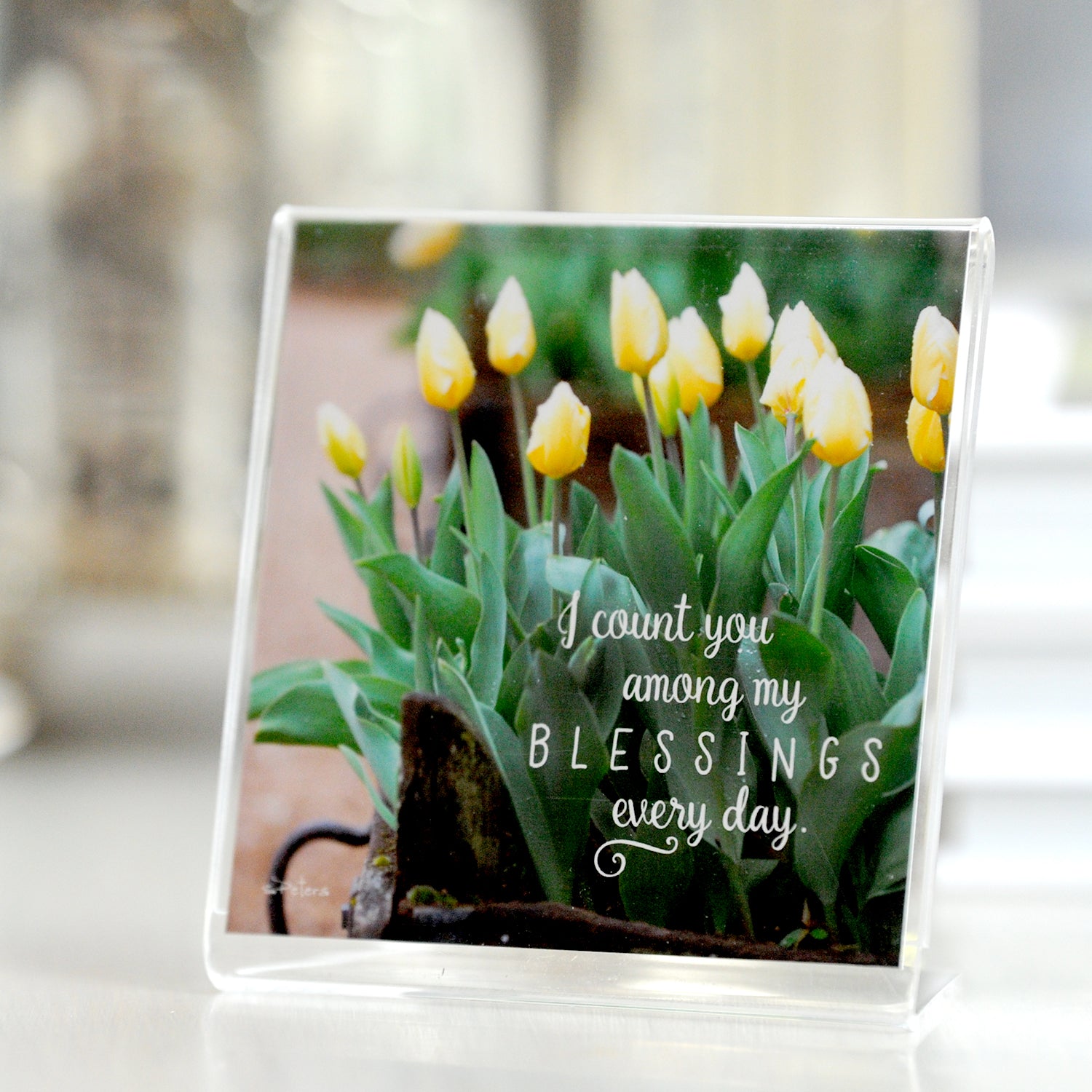 Truckloads of Tulips - Framed Mini Print