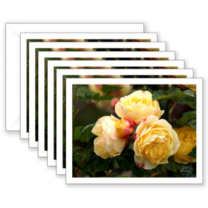 Victoria Boxed Notecard Collection