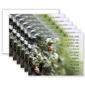 Winter Wonder - Boxed Notecard Collection